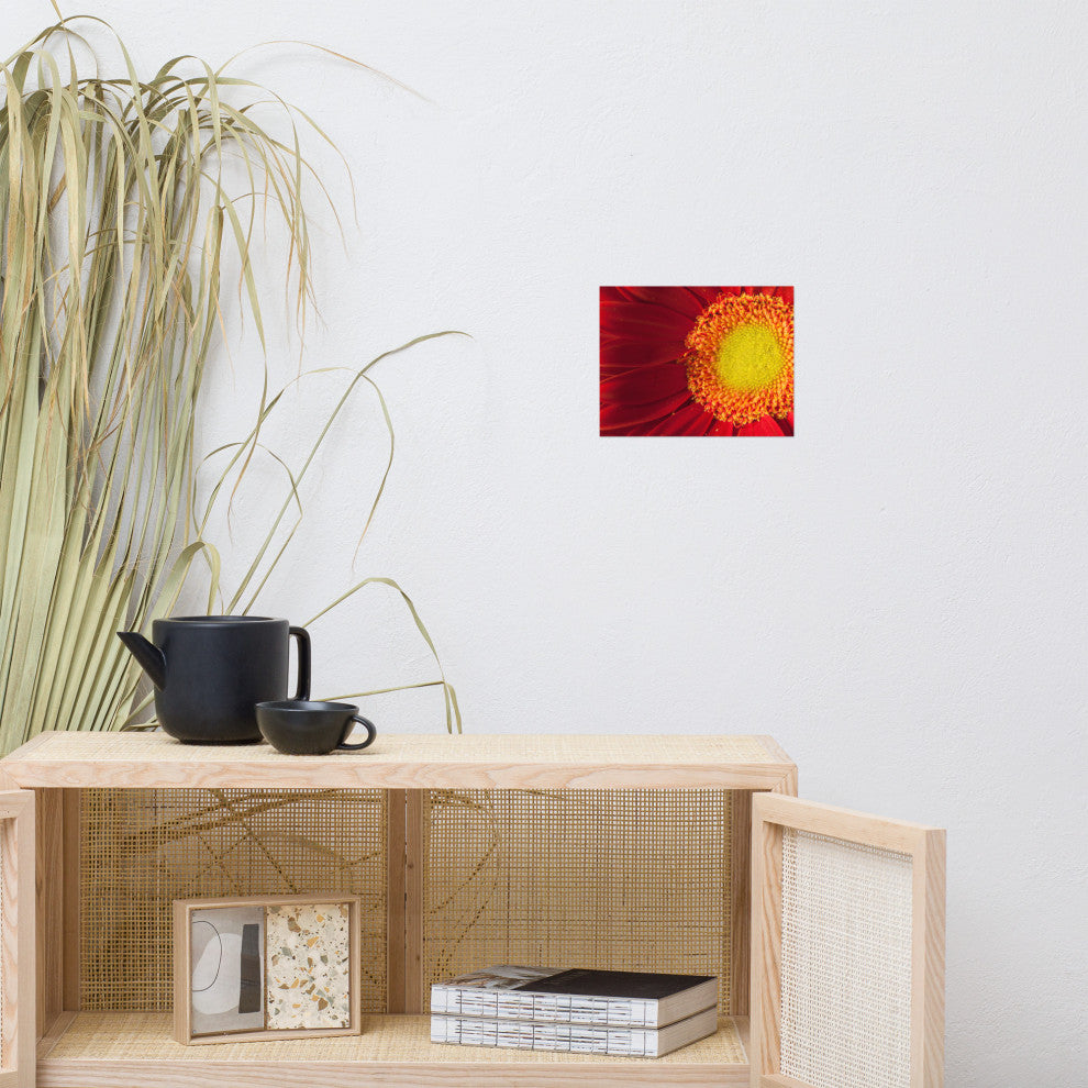 Nature's Beauty Nature Photography, Floral Unframed Wall Art Print, 8" X 10"