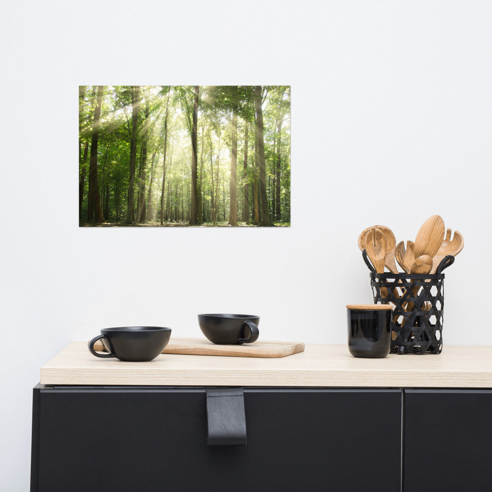 Sun Rays Through Treetops Landscape Photo Unframed Wall Art Print, 12" X 18"