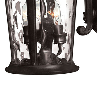 Hinkley Windsor Medium Wall Mount Lantern, Black