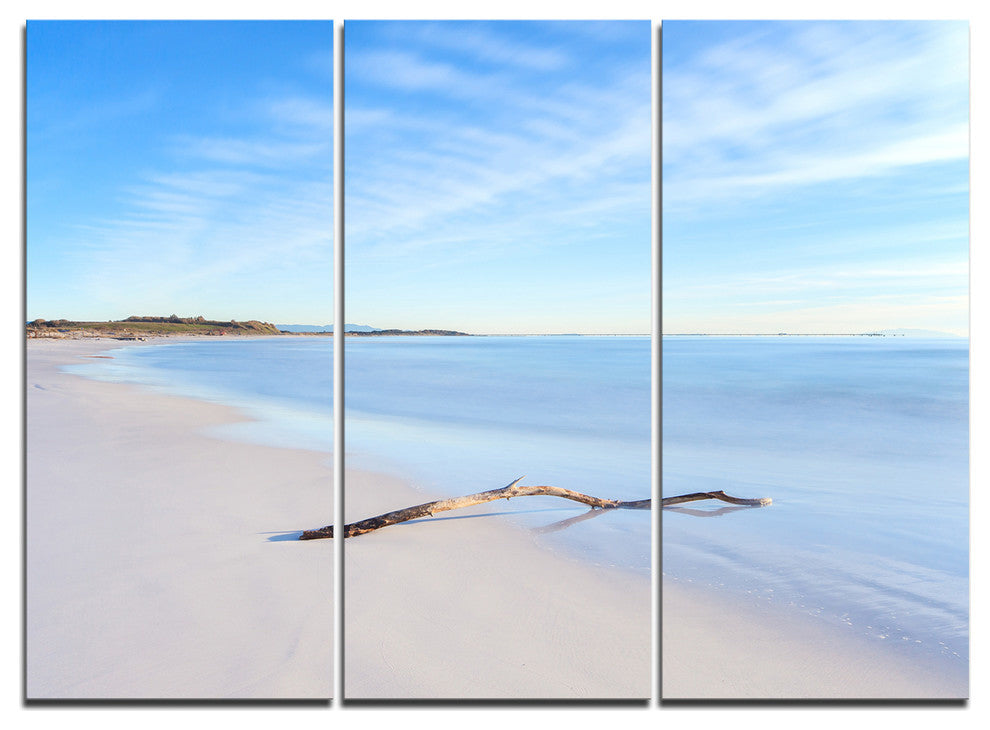 "Wood Branch on White Beach" Metal Wall Art, 3 Panels, 36"x28"