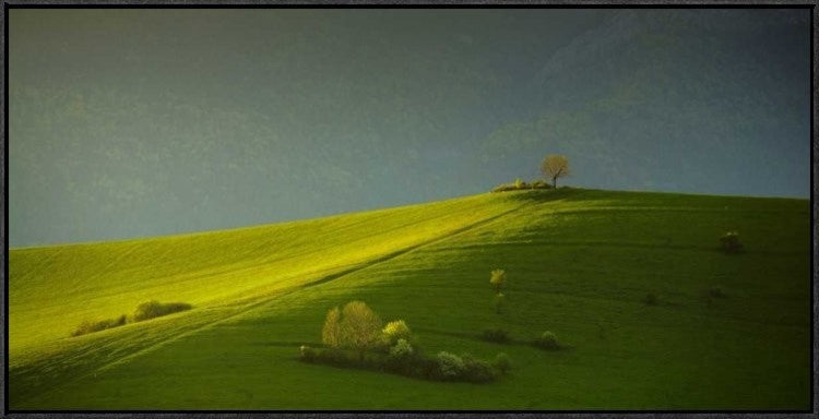 "Painted With Light" Framed Canvas Giclee by Matej Rumansky, 37x19"