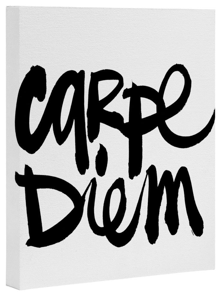 Deny Designs Kal Barteski Carpe Diem Art Canvas