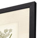 Queen's Lace I Framed Art, 2-Piece Set
