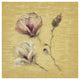 "Magnolia Blossom on Gold" Digital Paper Print by Cheri Blum, 20"x20"