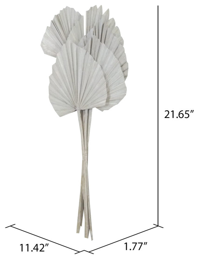 Vickerman Natural Botanicals 21" King Palm Spear, White Washed, 21"