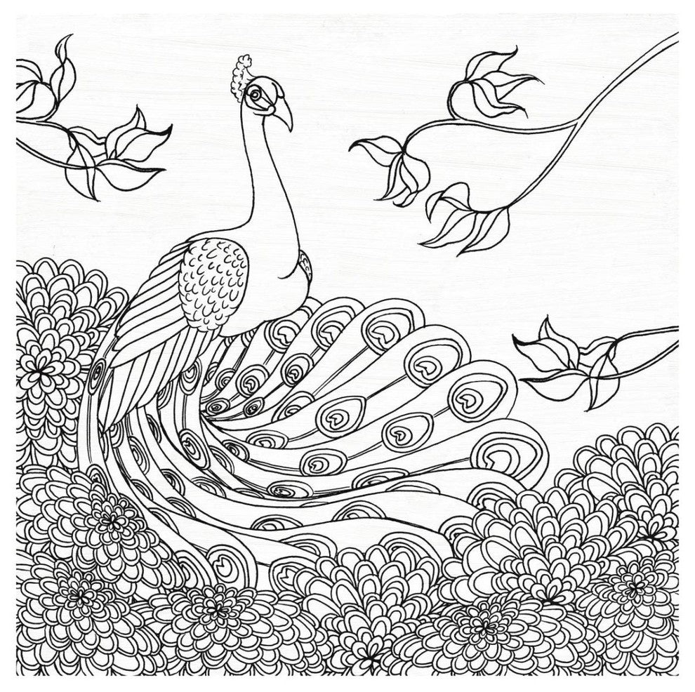 "Palace Peacock I Black and White" Digital Paper Print by Elyse DeNeige, 32"x32"
