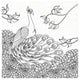"Palace Peacock I Black and White" Digital Paper Print by Elyse DeNeige, 32"x32"
