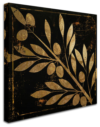 Color Bakery 'Bellissima I' Canvas Art, 24"x24"