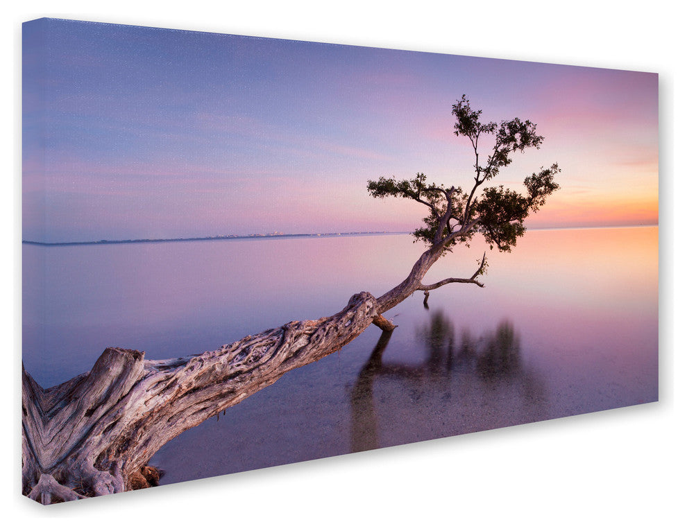 'Water Tree XV' Canvas Art by Moises Levy