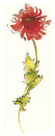 "Peony Form Poppies II" Digital Paper Print by Shirley Novak, 16"x42"