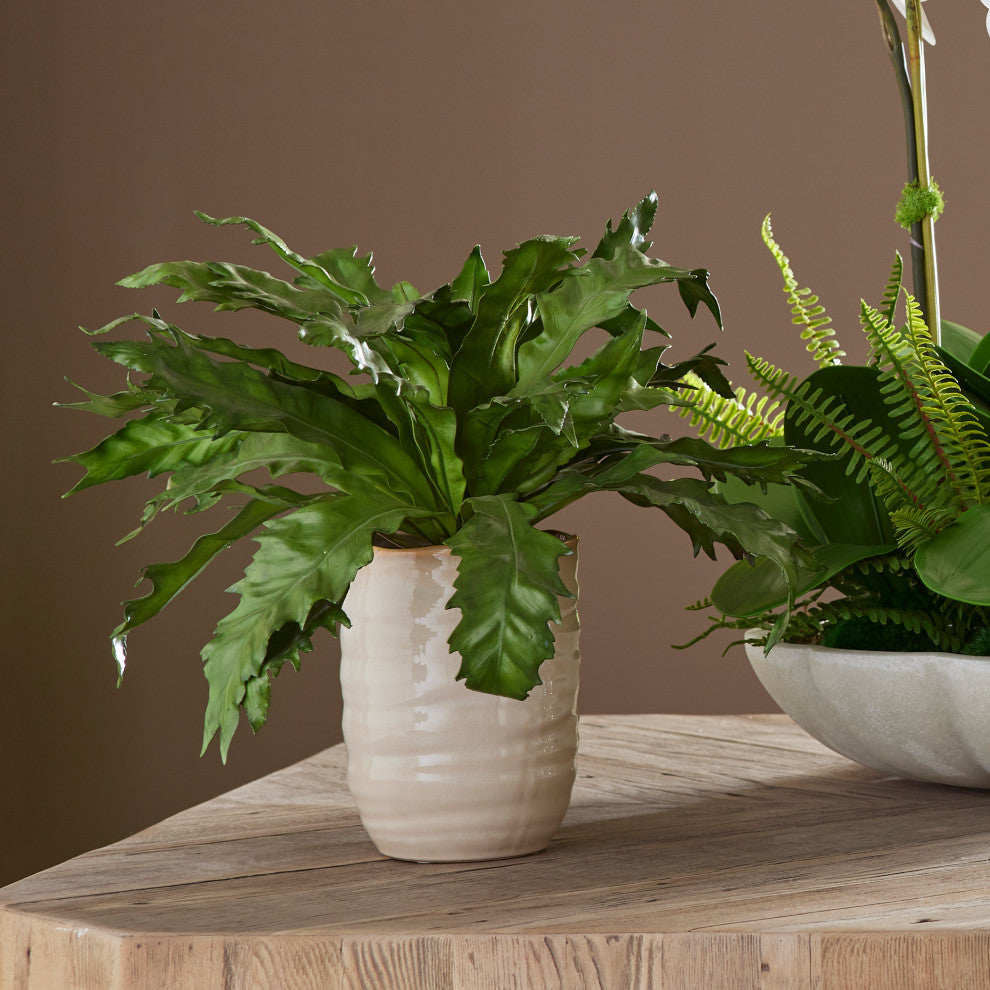 Lifestyle shot showing the fern in a ceramic glazed pot in a home setting.