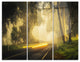 "Country Drive" Photography Metal Wall Art, 3 Panels, 36"x28"