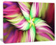 Huge Rotating Pink Flower, Large Floral Canvas Art Print, 60x40
