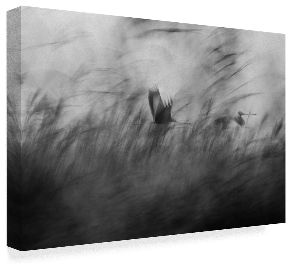 Elior Segev 'Out Of The Blue Bird' Canvas Art, 32"x22"