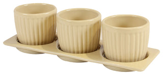 Gerbera Planter Set with Tray, Cream
