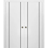 French Double Pocket Doors 64x96 | Planum 0016 White Silk | Kit Trims Rail