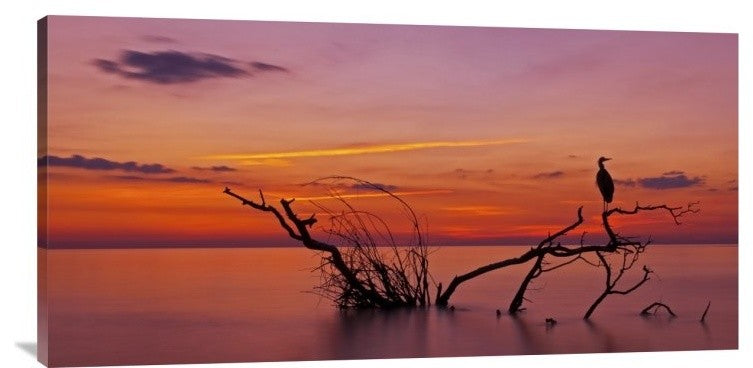 "Quiet Evening" Stretched Canvas Giclee by Verdon, 36x18"