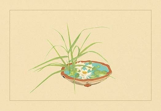 Reed and Pond Lily - Canvas Poster 20" x 30"