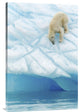 "Vertigo" Stretched Canvas Giclee by Joan Gil Raga, 20x30"
