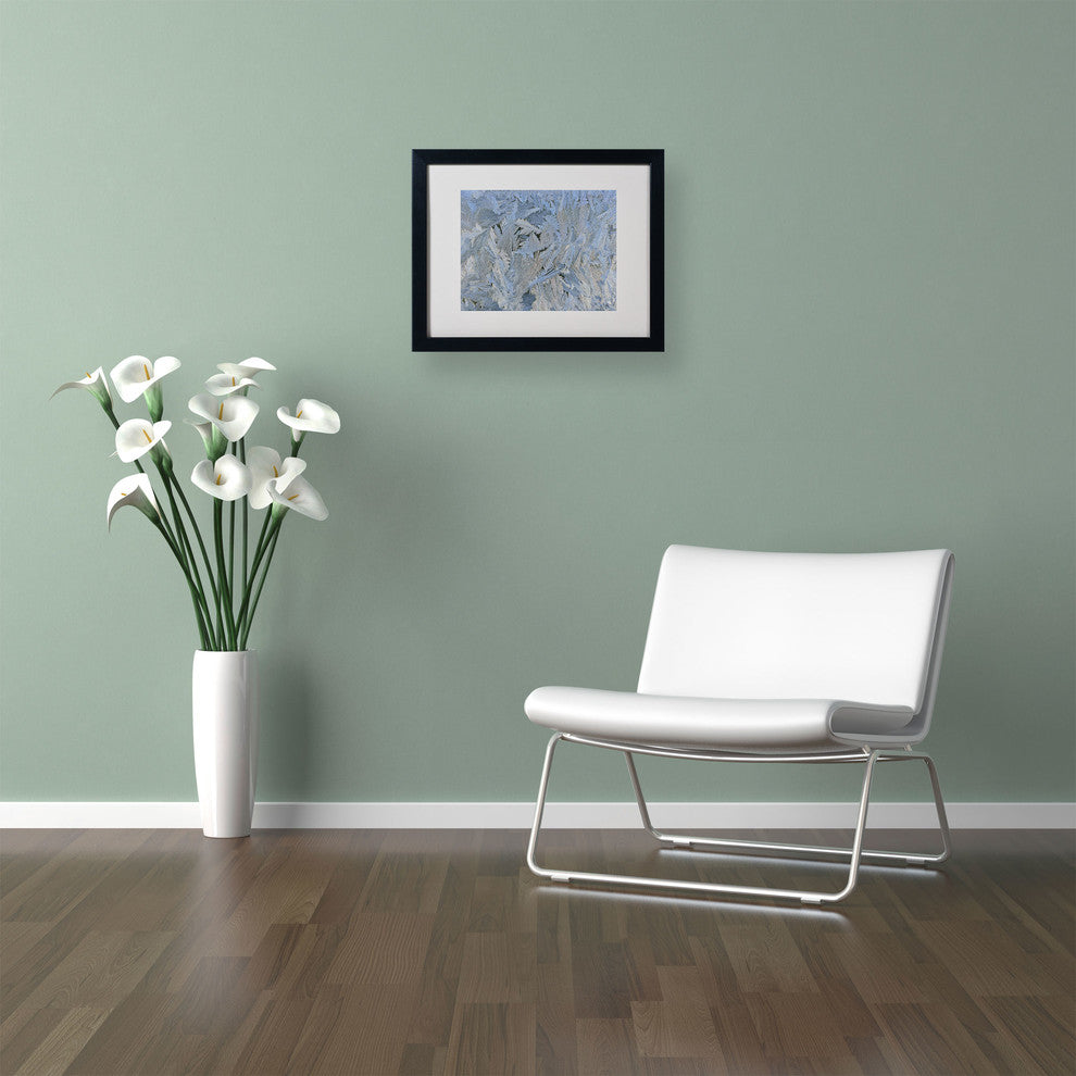 'Frost Pattern #6' Matted Framed Canvas Art by Kurt Shaffer