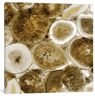"Agate In Gold II" by Danielle Carson, Canvas Print, 12"x12"