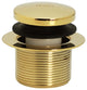 Above Floor Tip-Toe Trim and 2-Hole Overflow Cover, Polished Brass