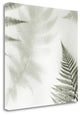 "Ferns No. 2" By Alan Blaustein, Giclee Print on Gallery Wrap Canvas