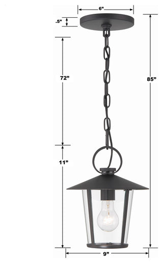 Andover 1-Light Matte Black Outdoor Chandelier