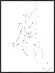 30x40 la danse des etoiles II, Framed Artwork, Black