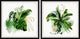 Grow in Grace Diptych, 2-Piece Set, 32x32 Panels