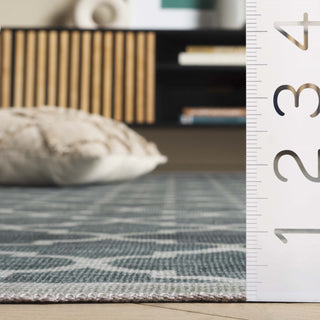 Safavieh Arizona Machine-Washable Collection ARZ172 Rug, Green, 9'x12'