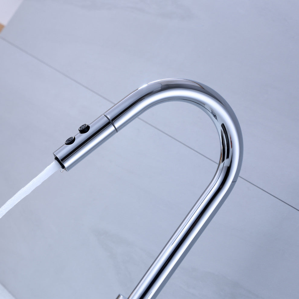 Luxier KTS21-T Single-Handle Pull-Down Sprayer Kitchen Faucet, Chrome