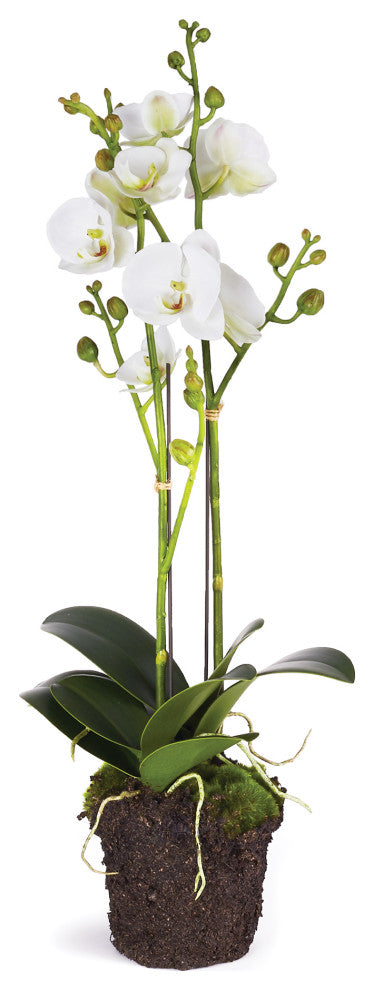 Two Stem White Phalaenopsis Orchid Faux Flower Artificial Plant Drop In