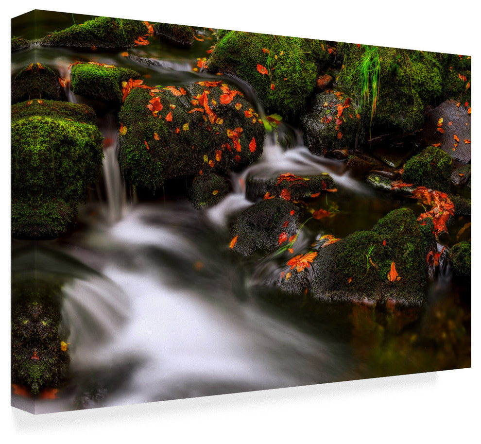 Yavuz Pancareken 'Autumn Melodies Water' Canvas Art, 24"x16"