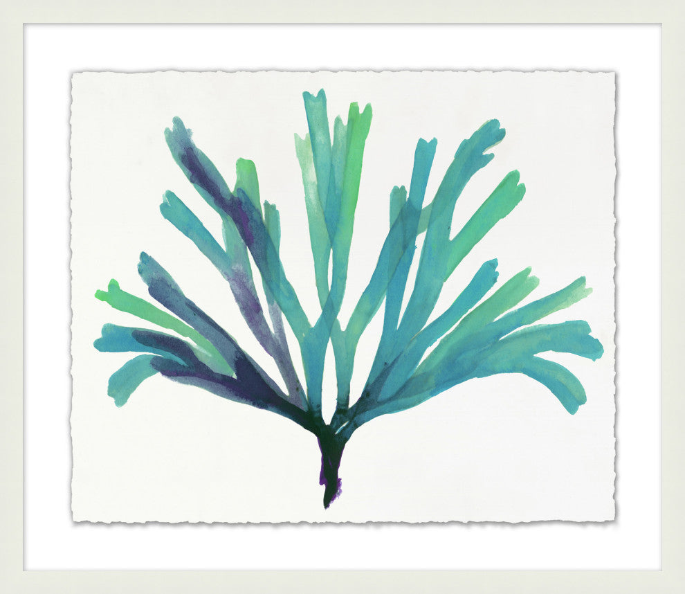 Transparaent Sea Life 1, Giclee Reproduction Artwork