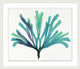Transparaent Sea Life 1, Giclee Reproduction Artwork