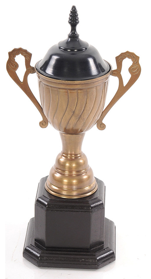 Alum/Wooden Trophy Big Aluminum Home Decor