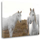 "Havent Met You Yet" By Jorge Llovet, Giclee Print on Gallery Wrap Canvas