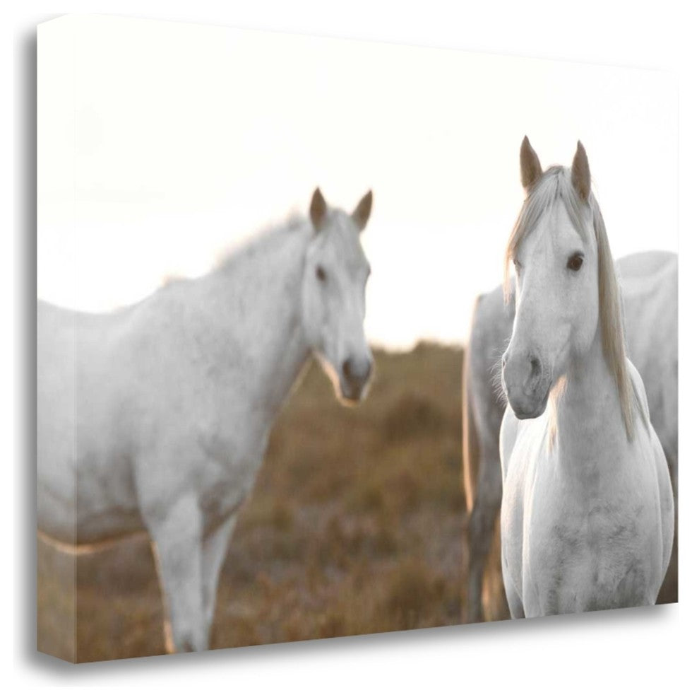 "Havent Met You Yet" By Jorge Llovet, Giclee Print on Gallery Wrap Canvas