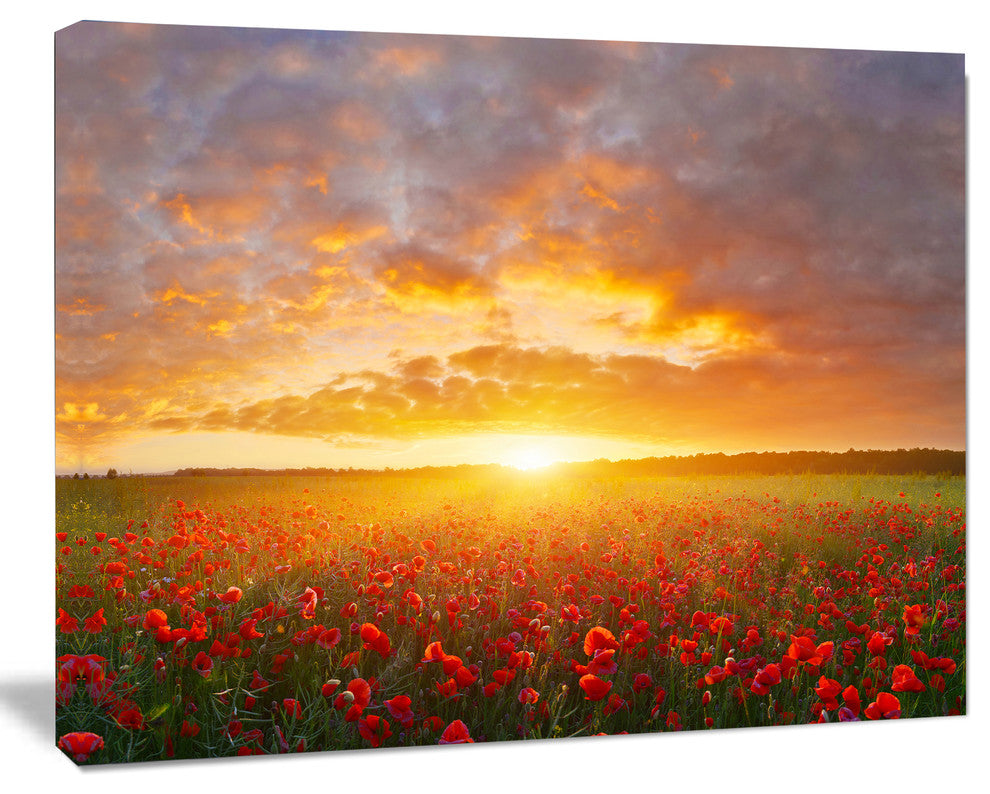 Poppy Field under Bright Sunset, Landscape Canvas Art Print, 20"x12"
