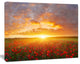 Poppy Field under Bright Sunset, Landscape Canvas Art Print, 20"x12"
