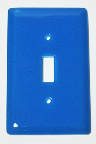 Wall Plate Switch