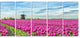 Traditional Holland Countryside, Landscape Canvas Art Print, 60"x28", 5 Panels
