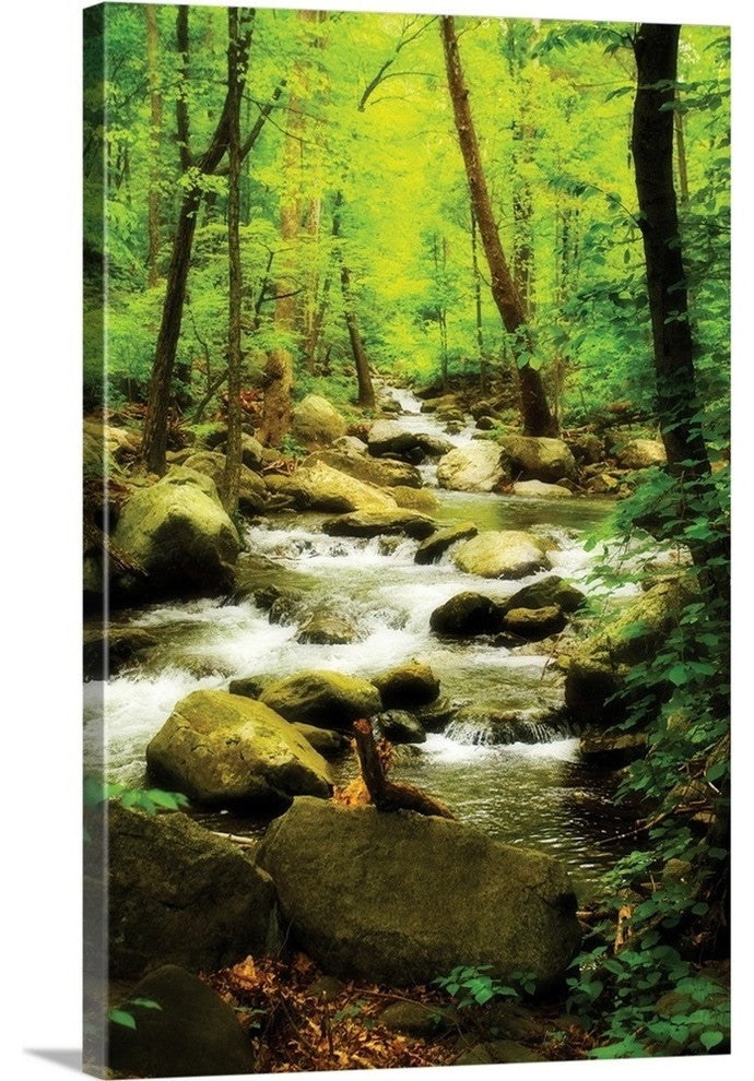 White Oak River I Wrapped Canvas Art Print, 32"x48"x1.5"