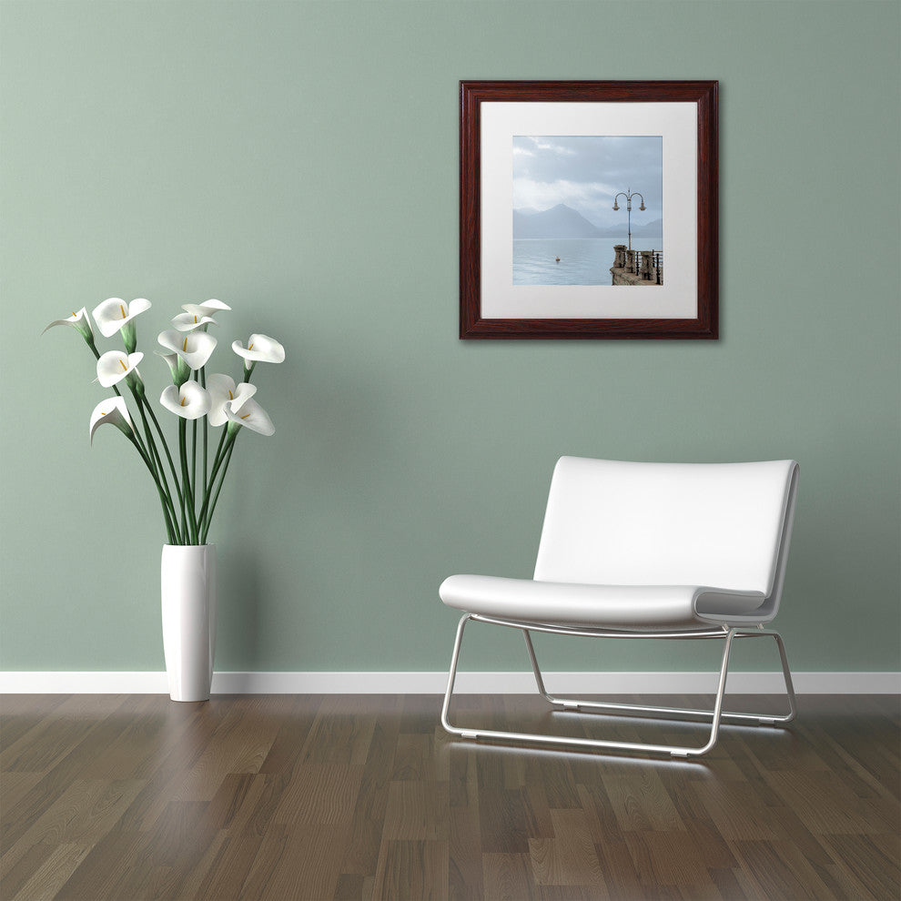 Alan Blaustein ''Lake Vista VIII'' Art, Wood Frame, White Mat, 16x16