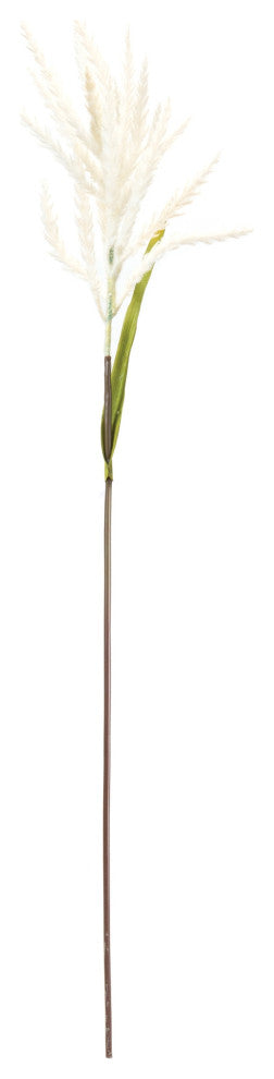 Astilbe Stem, Set of 6