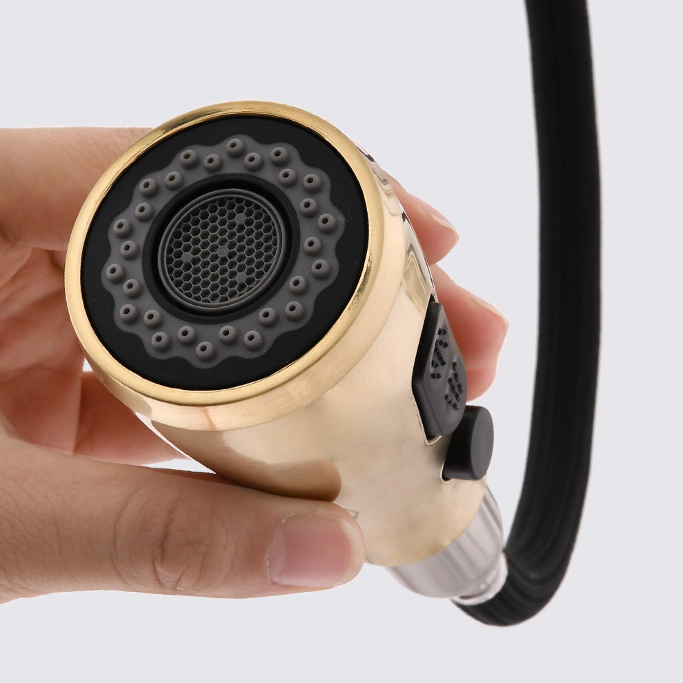 Givingtree Pull Down Kitchen Faucet with Sprayer Brushed Gold