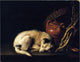 Gerrit Dou A Sleeping Dog Beside a Terracotta Jug Wrapped Canvas