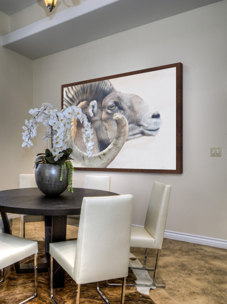 Marmont Hill, "Ram Profile 4" Framed Painting Print, 30x20