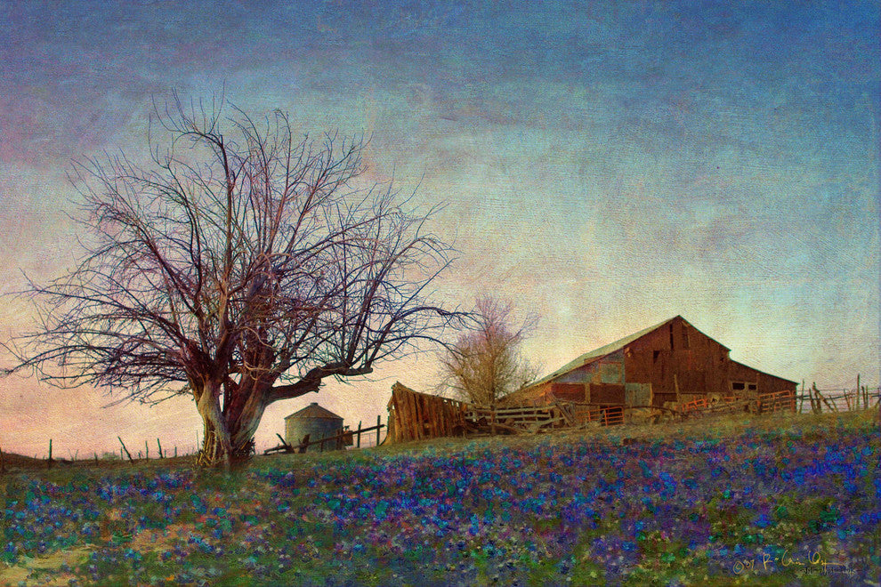 "Barn on Hill" Painting Print on Canvas by Chris Vest